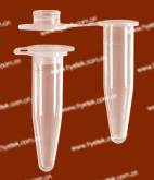 ��ڼ�����Ĺ�