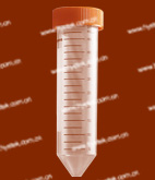 �ݿڼ�����Ĺ�